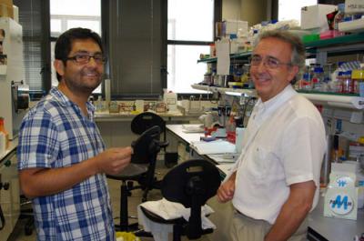 Juan Pablo Muñoz and Antonio Zorzano, Institute for Research in Biomedicine