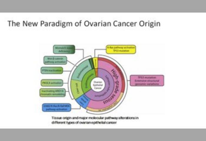 ovarian cancer lesions