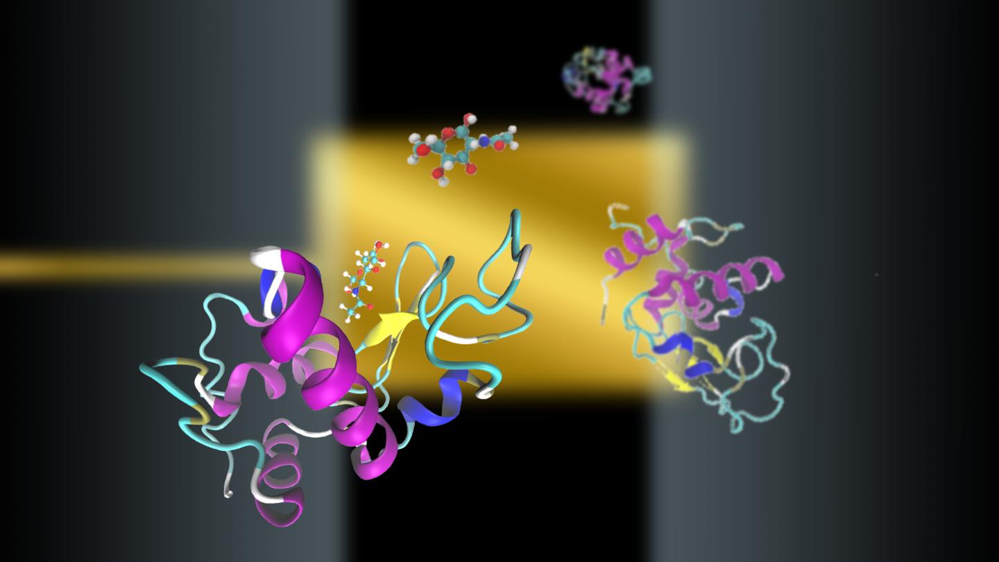 Computer Visualization of New Protein-Ligand Imaging Method