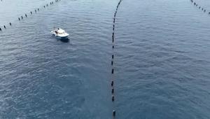 Drone footage of UK's largest offshore mussel farm