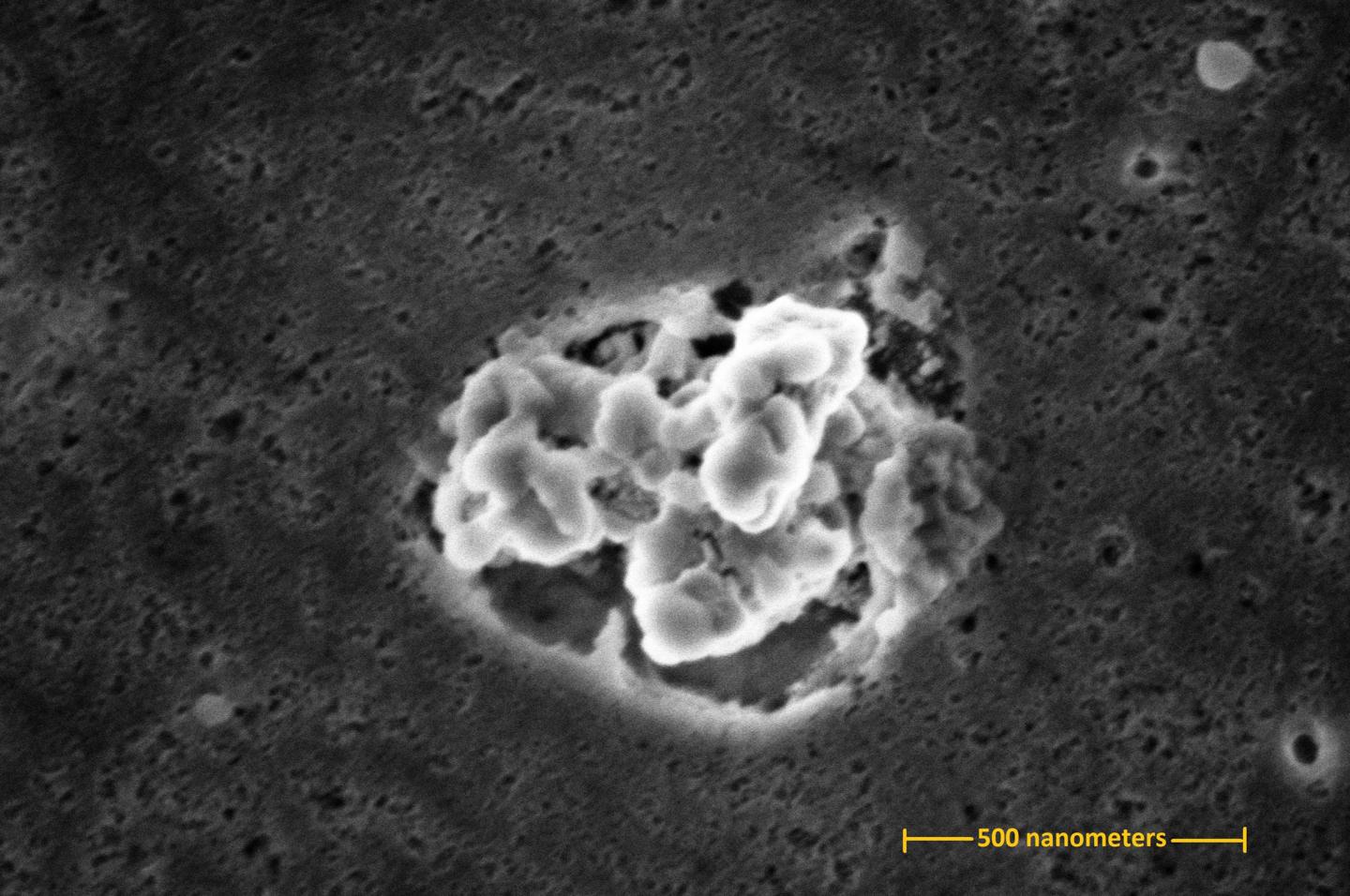 Silver Nanoparticle Cluster Released by Scratching a Silver-Infused Cutting Board