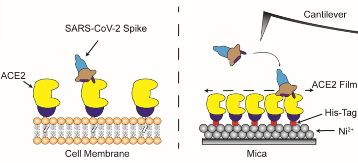 Figure 2: Overview