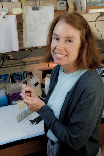 Pamela Maher, Salk Institute
