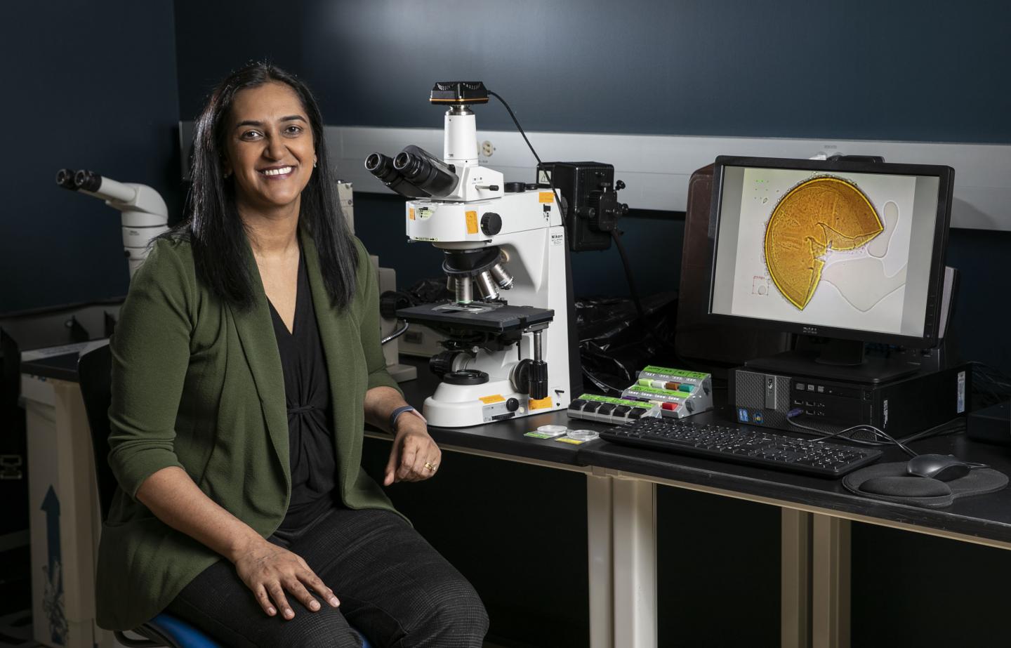 DePaul University Environmenta [IMAGE] EurekAlert! Science News Releases