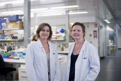 Lucie Rankin and Dr. Joanna Groom, Walter and Eliza Hall Institute (1 of 2)