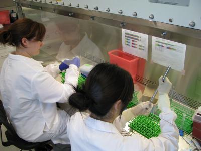 Researchers from Rensselaer Polytechnic Institute