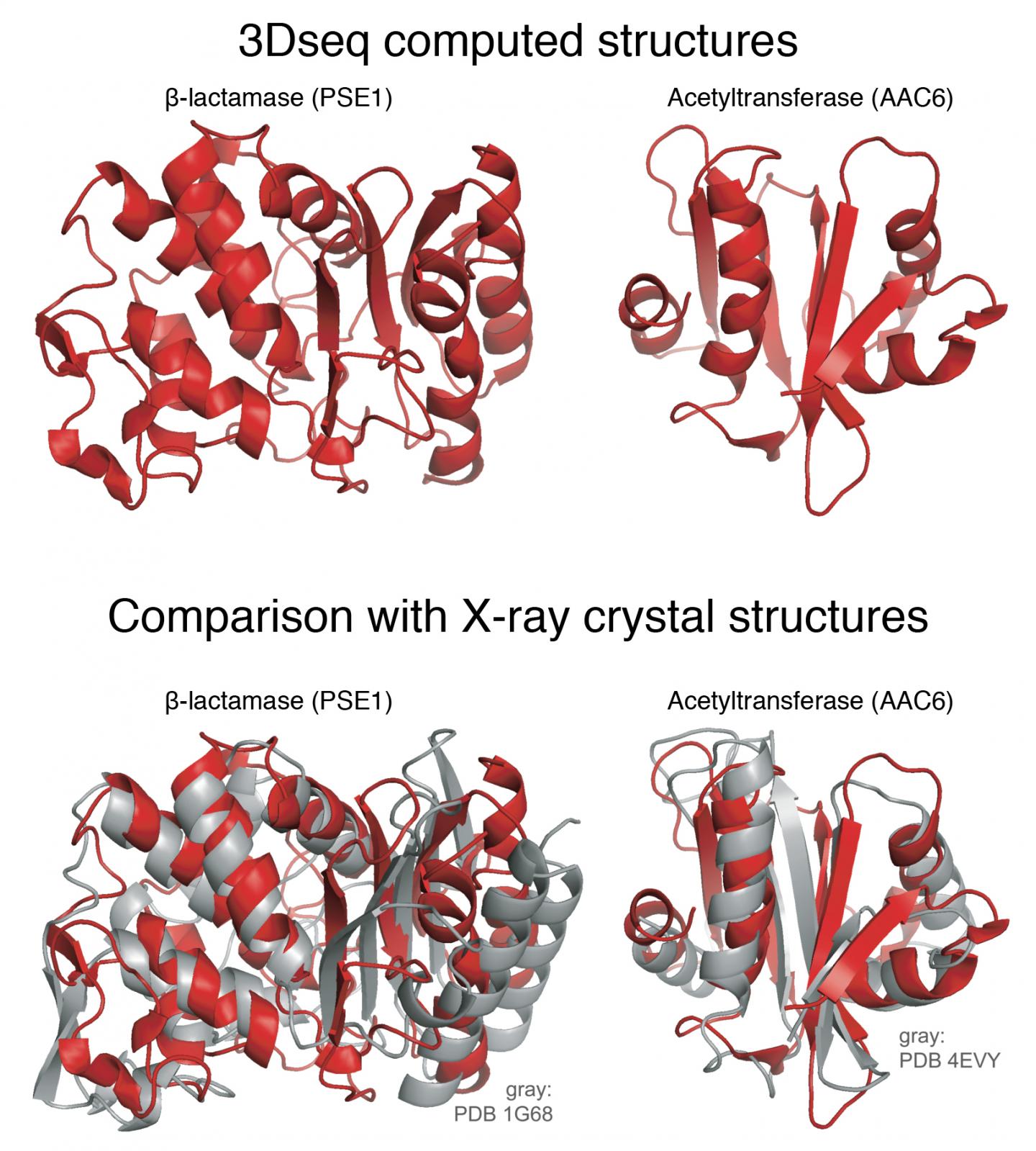 3Dseq Computed Structures