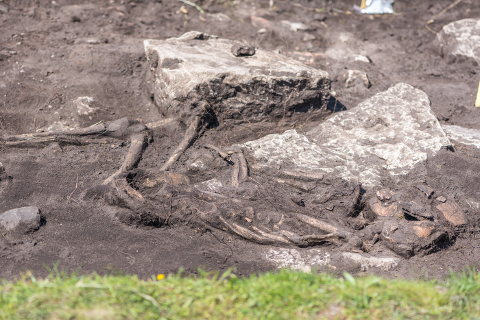 Sandby Borg archaeological site.