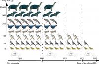 Historical Milestones in Relation to Availability of Dispersal Agents on Réunion across a Long-Term 