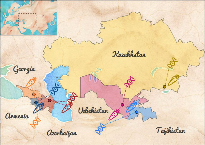 Geographical map of the six populations along the Silk Road investigated in the study