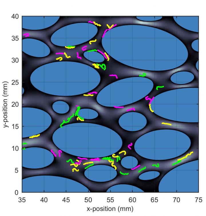 Microplastics Moving through Environment
