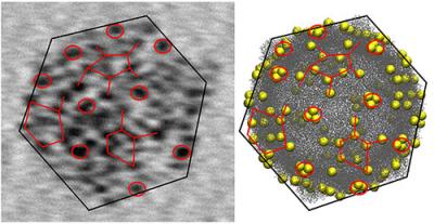 Gold Nanoparticles