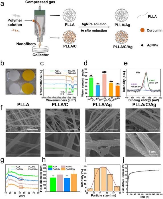 Development and physicochemical properties of PLLA nanofibrous membranes.