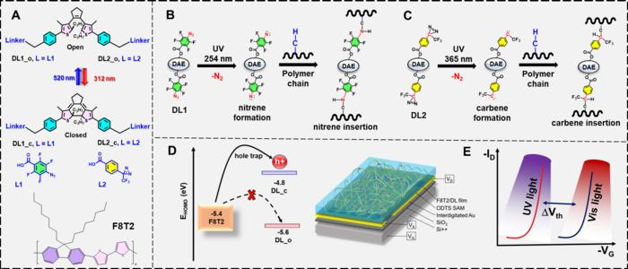 A schematic depiction showcasing the Photophore-Anchored Molecular Switch for High-Performance Nonvolatile Organic Memory Transistor