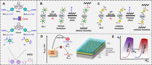 A schematic depiction showcasing the Photophore-Anchored Molecular Switch for High-Performance Nonvolatile Organic Memory Transistor
