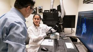 Gladstone scientists Yadong Huang and Antara Rao