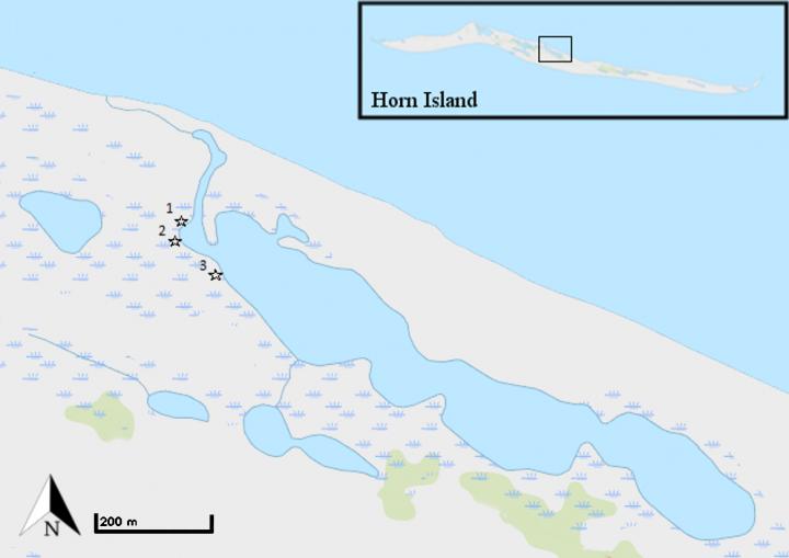 Horn Island Site Study Map