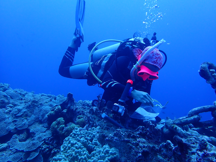 Sarah Lemer, University of Guam