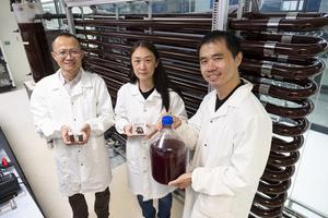 NTU Singapore scientists develop solar-powered method to convert sewage sludge into green hydrogen and animal feed