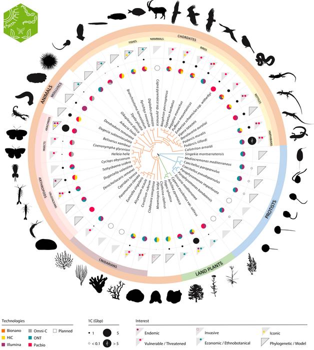 El proyecto del Biogenoma de la Tierra secuenciará el genoma de cerca de 40.000 especies de plantas, animales y hongos de los Países Catalanes