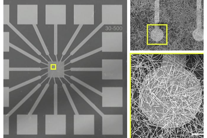 Platform technology modeled after the brain