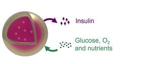 Schematic representation of the biocompatible microspheres of the Uniink project.