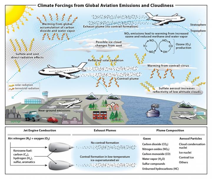 Aviation climate change impact infographic