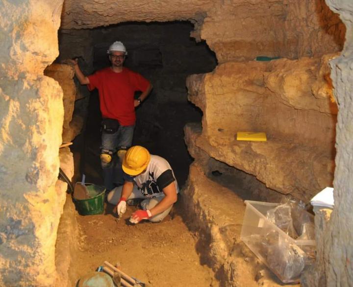 Davide Tanasi, University of South Florida