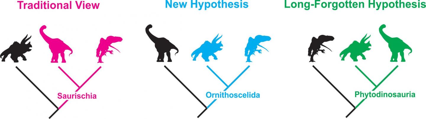 Untangling the Dinosaur Family Tree