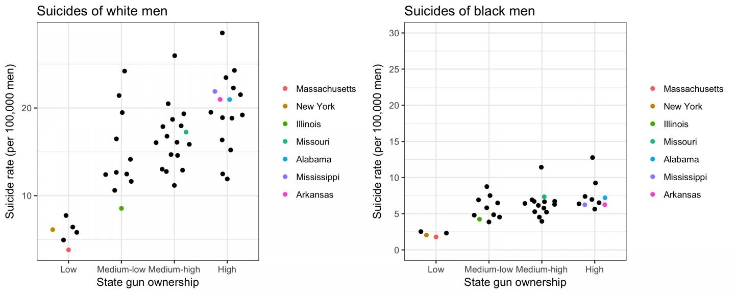 Suicides of Black and White Men across States