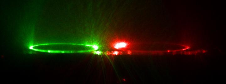 Solid-State Lasers Formed from Bioluminescent Fluorescent Proteins