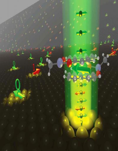 Layer System of Cobalt and Organic Molecules