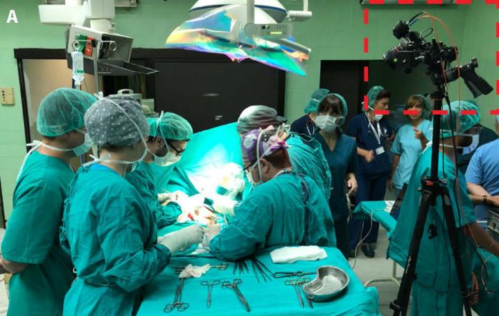 Loss of Smell in COVID-19 Patients May Arise from Virus Persisting in the Nasal Cavity (3 of 3)