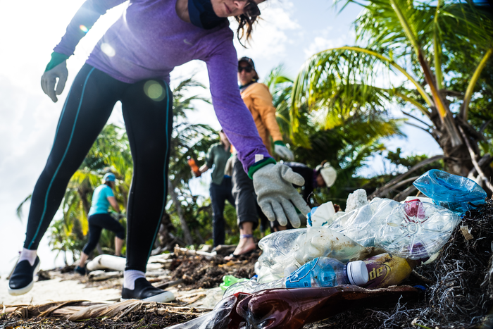 Newswise: Study provides first holistic assessment of plastic pollution in the Caribbean
