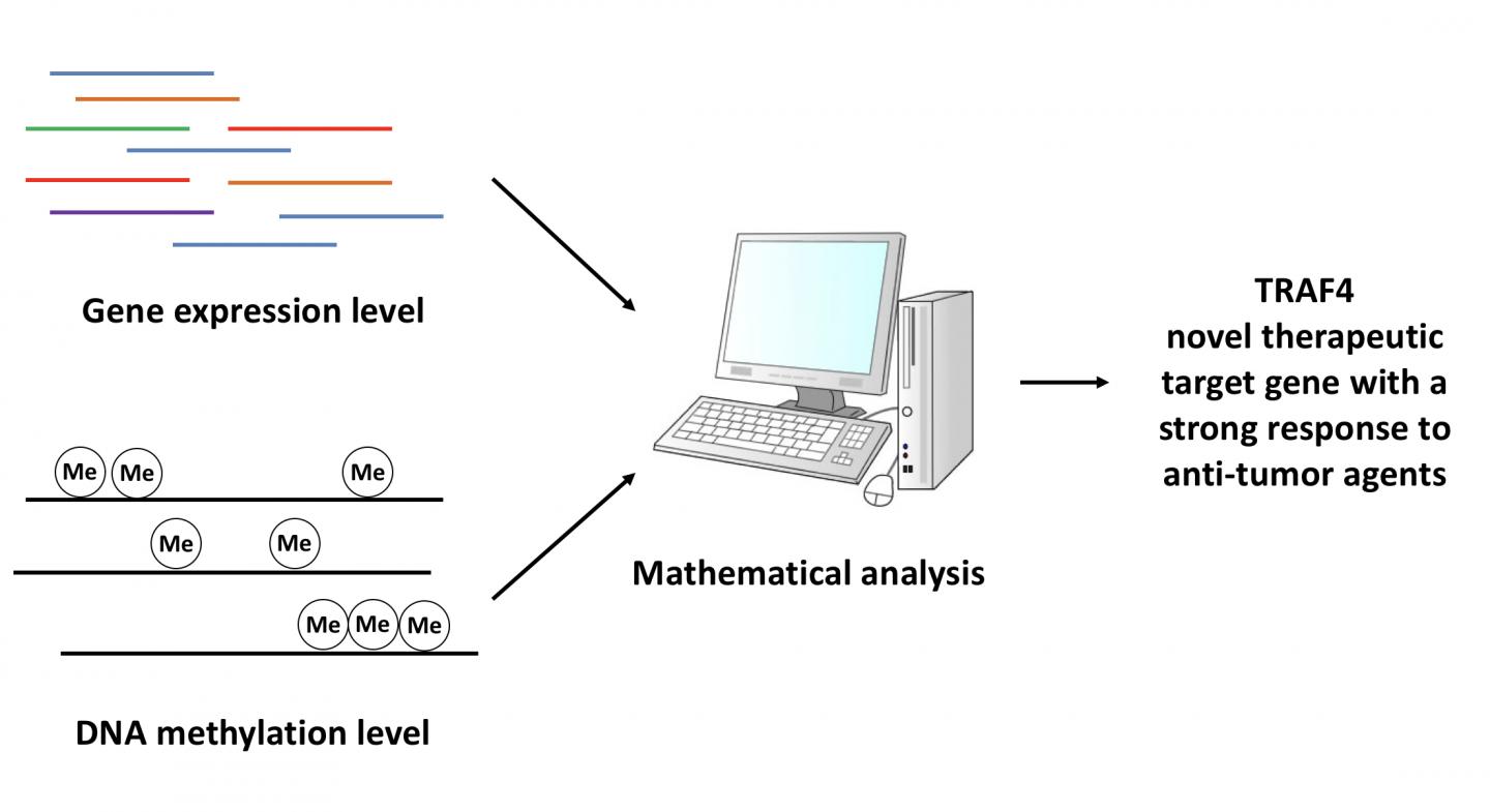 Fig.1 Mathematical Analysis