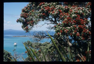 A Biodiversity Breakdown in New Zealand (6 of 8)