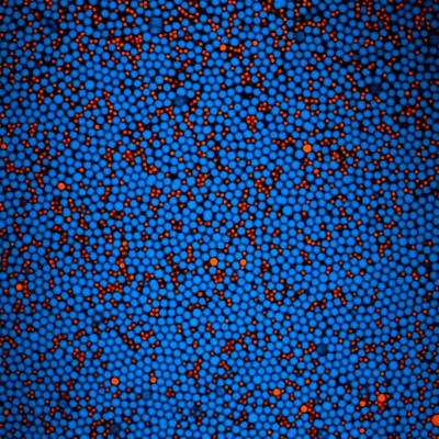 Orange and Blue Balls
