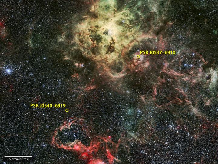 Fermi Detected the First Extragalactic Gamma-Ray Pulsar