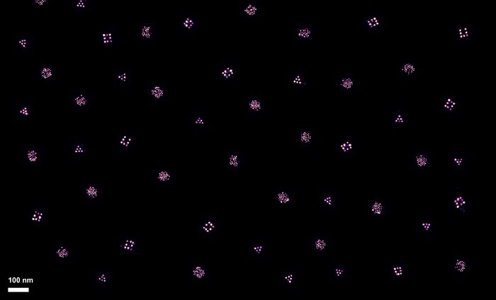 Original microscopy data on different ligand patterns on DNA materials © Bastings/PBL EPFL