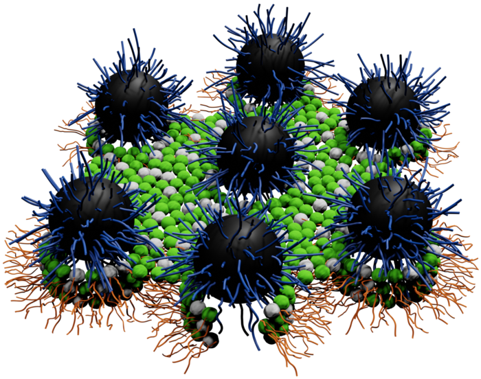 Hairy spheres nanoantibiotics.png