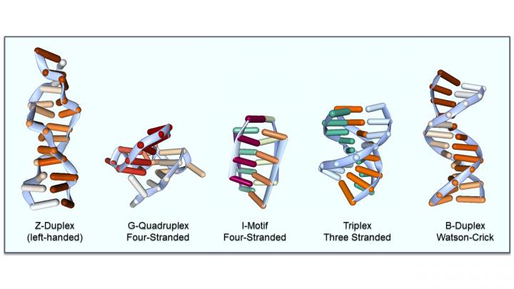 Different Flipon Structures