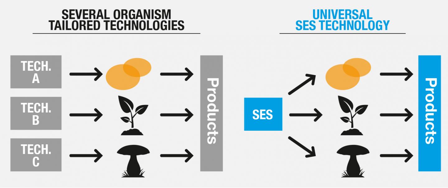 SES System (2 of 2)