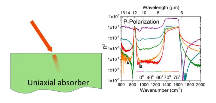 The Absorbing System & Its Spectrum