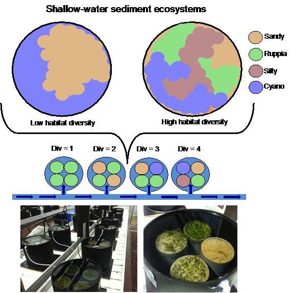 Healthy Ecosystems Need Diverse Habitats, Not EurekAlert!