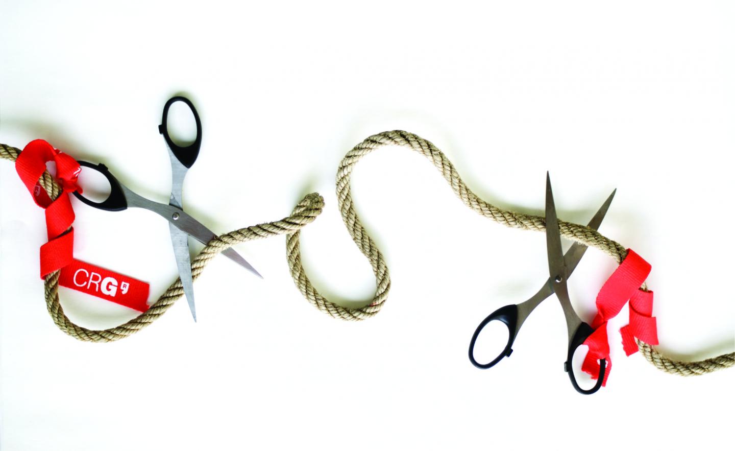 Deletion of Genomic DNA by Paired CRISPR