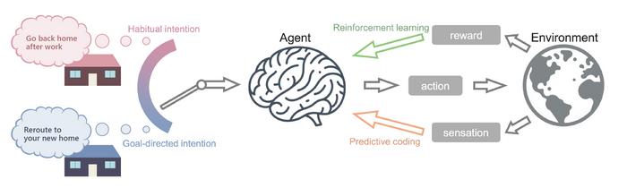 An agent learns to choose the best course of action