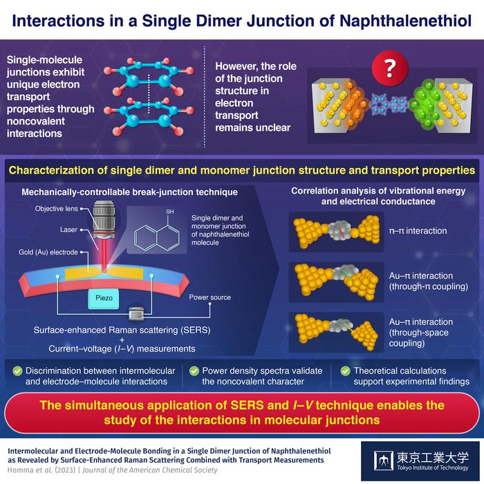 Interactions in a Single Dimer Junction of Naphthalenethiol