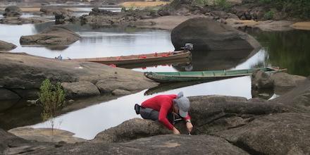 Fieldwork in Suriname Yields New Aquatic Beetles