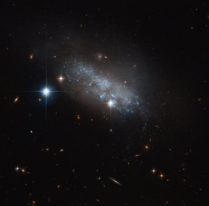 Irregular Galaxy IC 3583