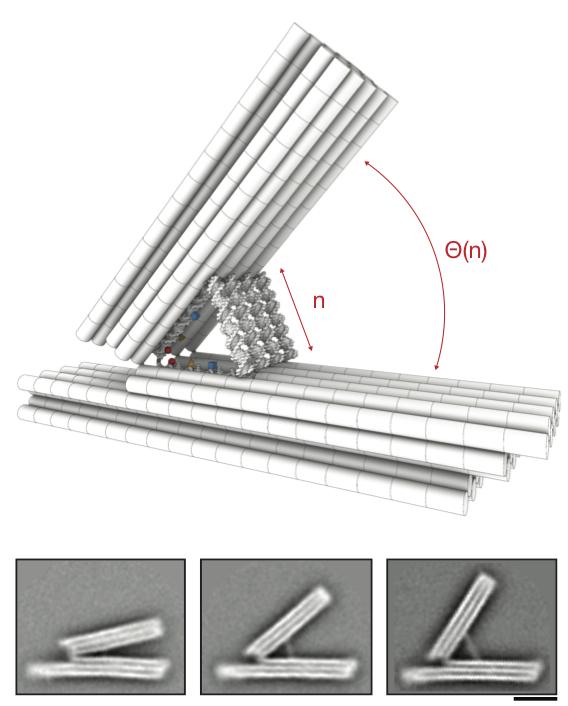 Molecular Manipulator Made from DNA